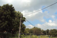 DAIRY SHED AT UCIARS – WELIGATTA, HAMBANTOTA (UNIVERSITY OF COLOMBO)